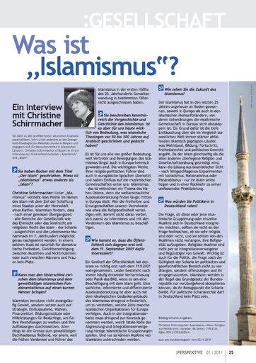 Perspektive 2011 01 was ist islamismus